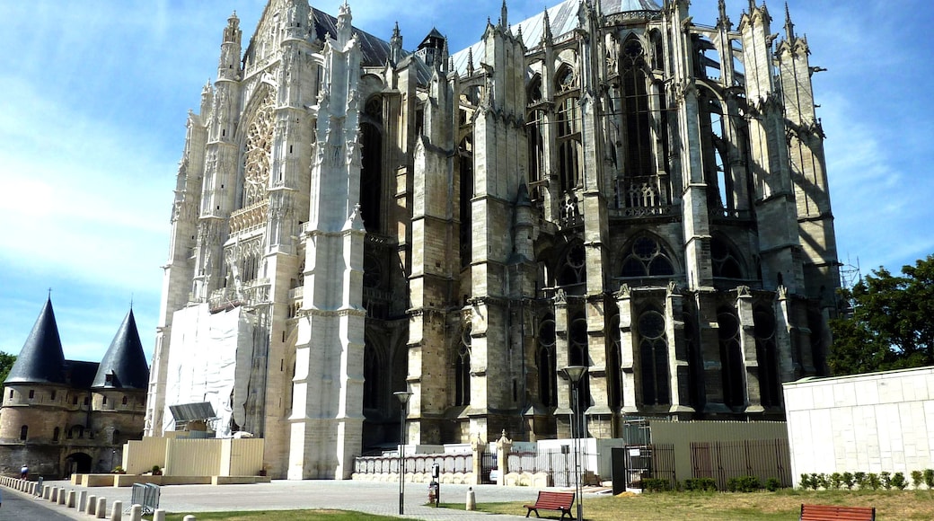 "Beauvais Cathedral"-foto av MarcoMileu (CC BY-SA) / Urklipp från original