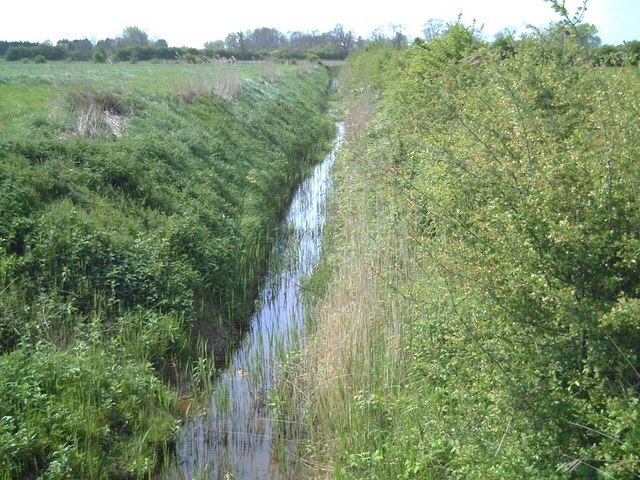 Kuva ”Bratoft” käyttäjältä John Smith (CC BY-SA) / rajattu alkuperäisestä kuvasta