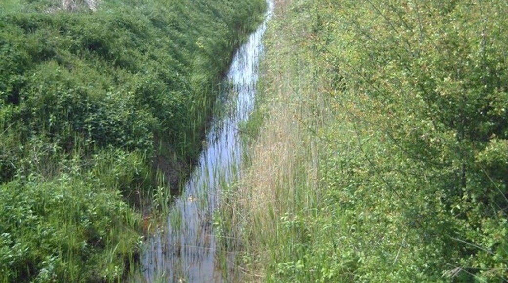 Kuva ”Bratoft” käyttäjältä John Smith (CC BY-SA) / rajattu alkuperäisestä kuvasta