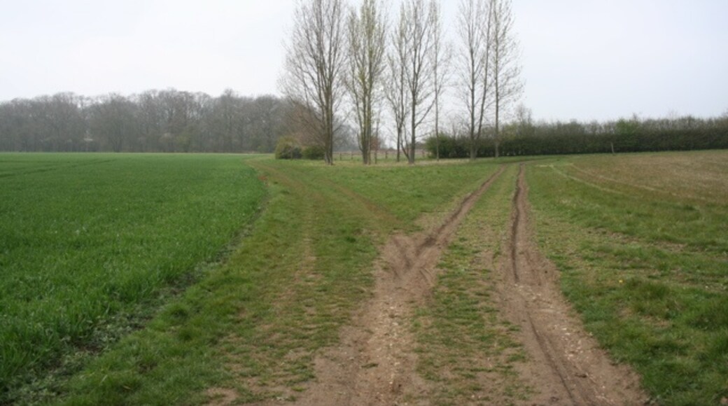 Photo "Wenden Lofts" by Duncan Grey (CC BY-SA) / Cropped from original