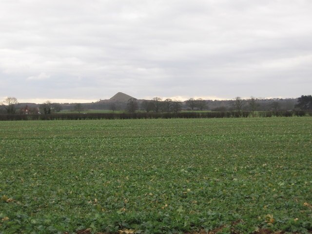 Foto “Caldecote” tomada por Tammy Winand (CC BY-SA); recorte de la original