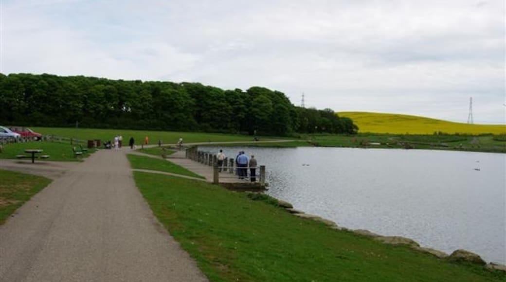 Photo "Herrington Country Park" by Brian Abbott (CC BY-SA) / Cropped from original