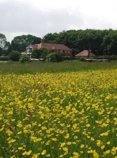 Photo "Anlaby with Anlaby Common" by Paul Glazzard (CC BY-SA) / Cropped from original