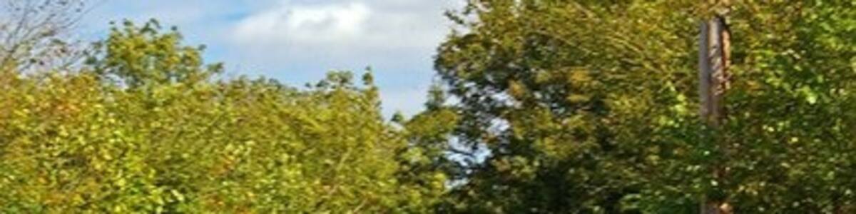 Photo "Calthorpes Farm Lane This lane is effectively the drive to the farm it is classified as other route with public access" by Glyn Baker (Creative Commons Attribution-Share Alike 2.0) / Cropped from original