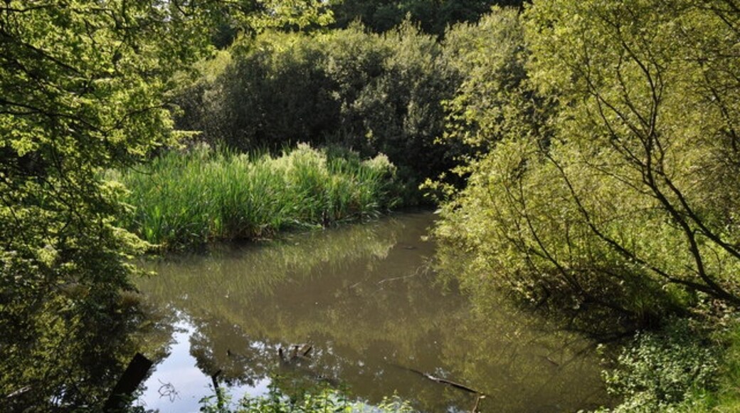 "North Weald Bassett"-foto av Lynda Poulter (CC BY-SA) / Urklipp från original