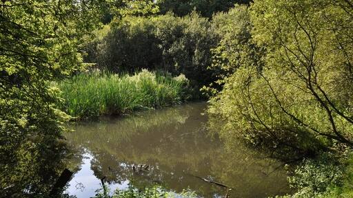 Kuva ”North Weald Bassett” käyttäjältä Lynda Poulter (CC BY-SA) / rajattu alkuperäisestä kuvasta