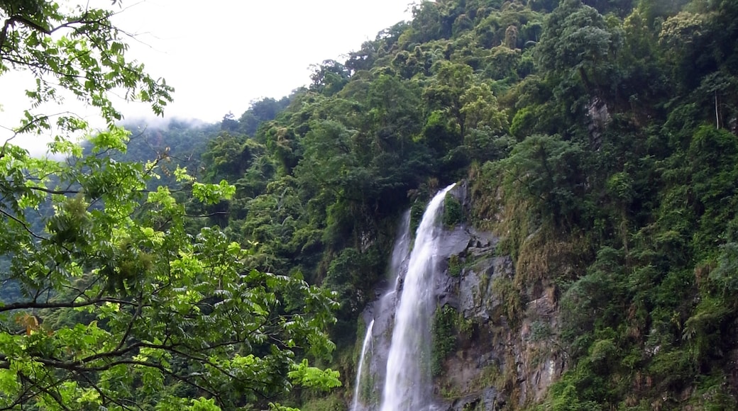 Photo "Wulai Waterfalls" by Chen-Pan Liao (CC BY-SA) / Cropped from original