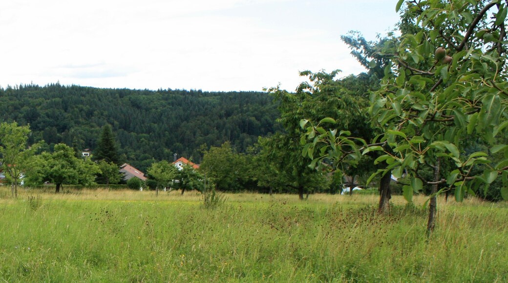 Foto "Kämpfelbach" de Baden de (CC BY) / Recortada do original