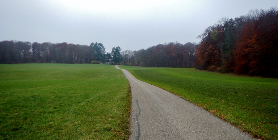 Hochfläche Schanz, Biegel