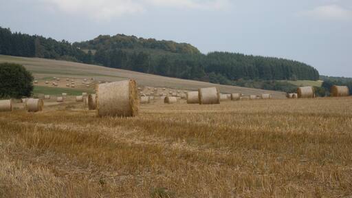 Foto "Niederweidbach" de Helfmann (CC BY-SA) / Recortada de la original