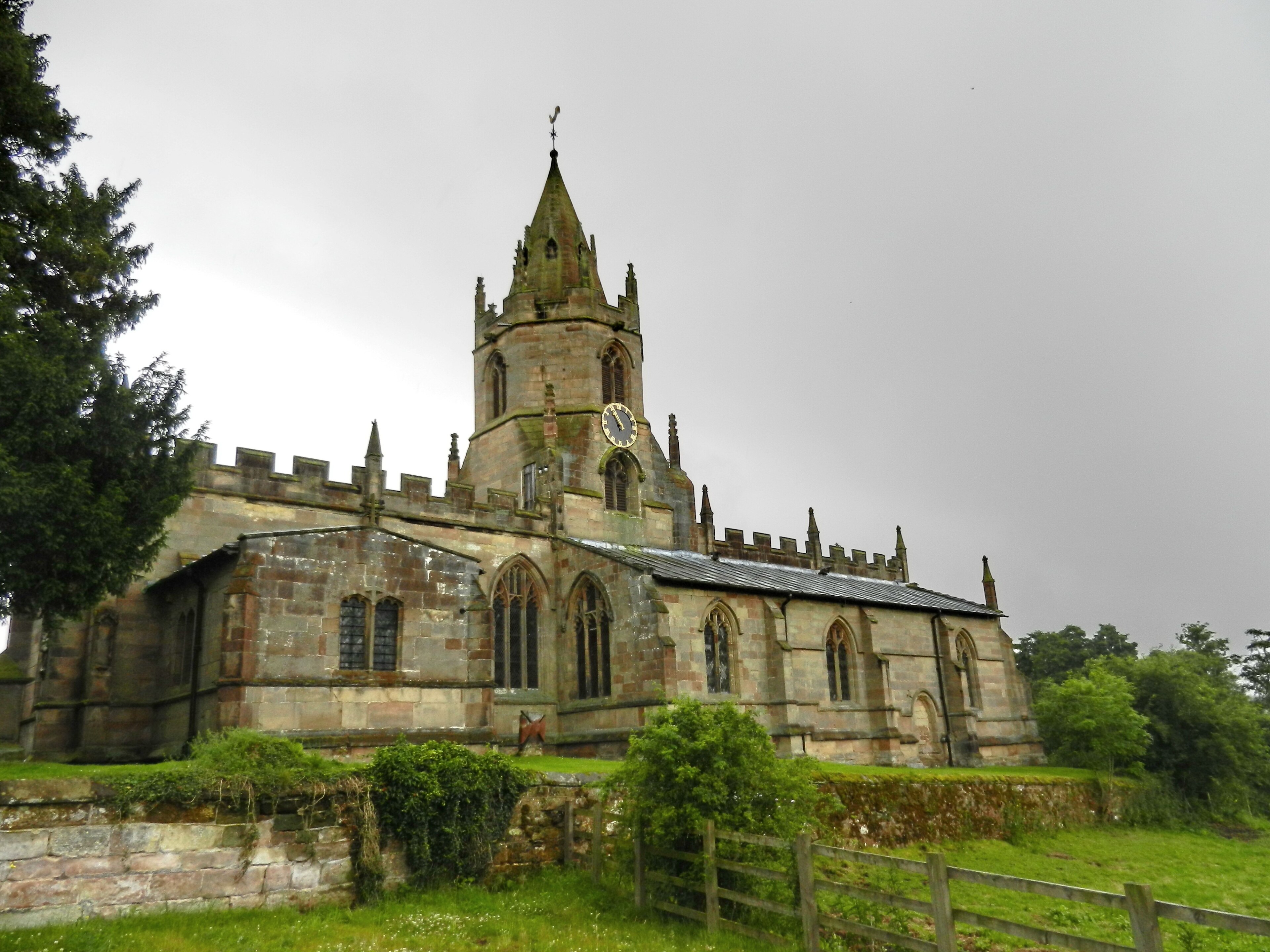 Photo "Tong" by Tanya Dedyukhina (CC BY) / Cropped from original