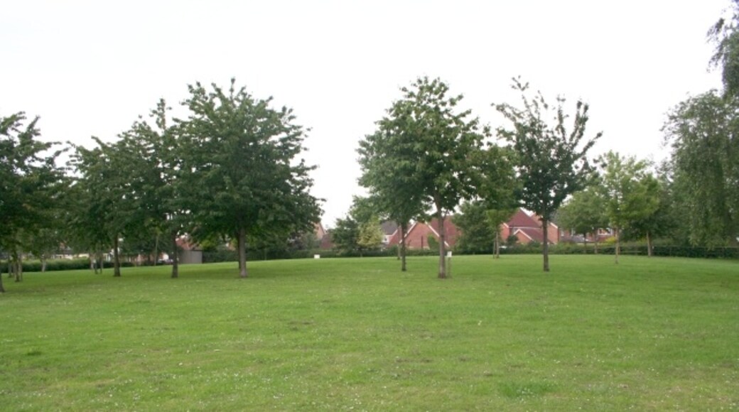 Foto “Romanby” tomada por Bob Embleton (CC BY-SA); recorte de la original