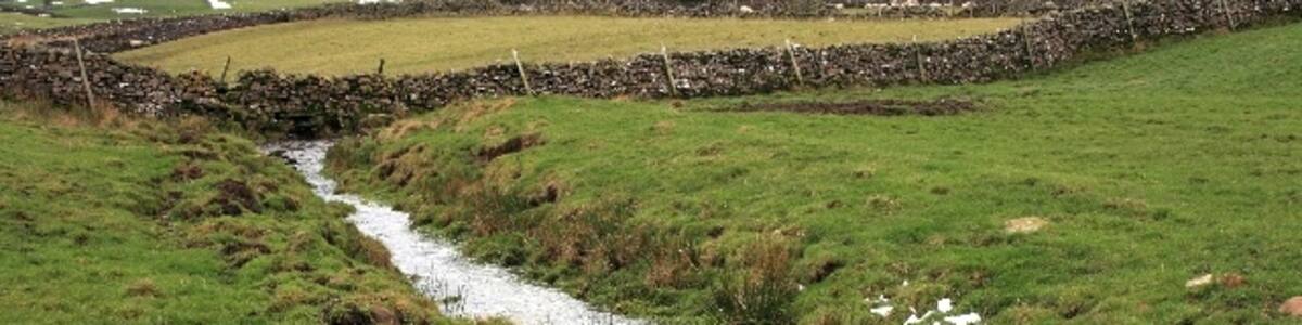 Photo "Wild Sike A small stream near Crook Bank Lane." by Mick Garratt (Creative Commons Attribution-Share Alike 2.0) / Cropped from original