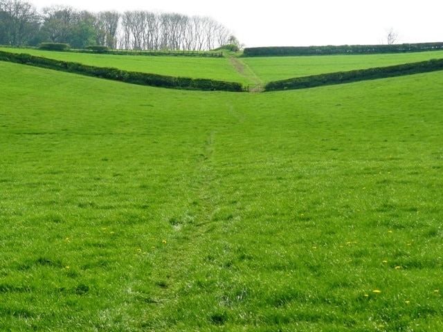 Looking back to Limekiln Plantation