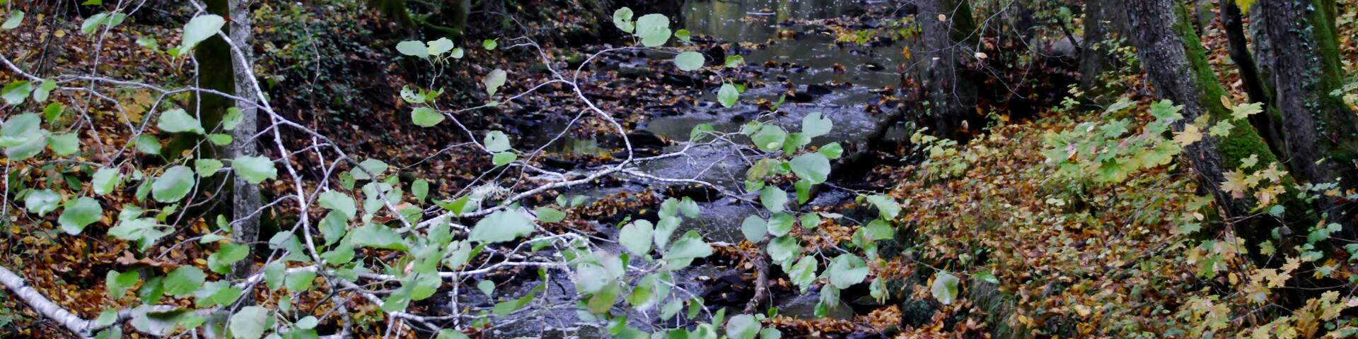 Walddorfhäslach, Baden-Württemberg, Alemanha