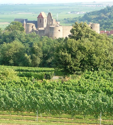 Burg Neuleiningen