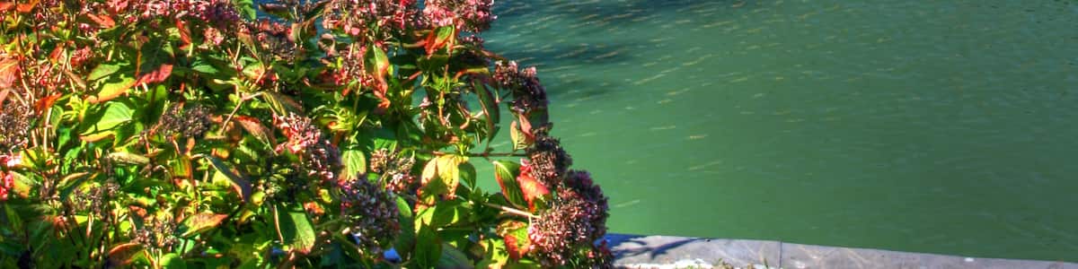 Photo "Villa Serra di Comago, Sant'Olcese, LIguria, Italy" by Umberto Fistarol (Creative Commons Attribution 2.0) / Cropped from original