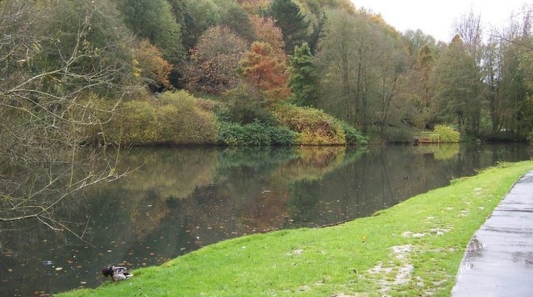 Photo "Yeovil Country Park" by Pam Goodey (CC BY-SA) / Cropped from original