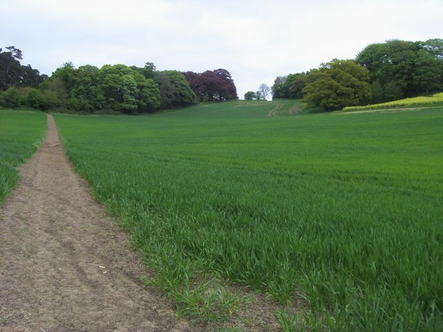 "Westcott"-foto av Shaun Ferguson (CC BY-SA) / Urklipp från original