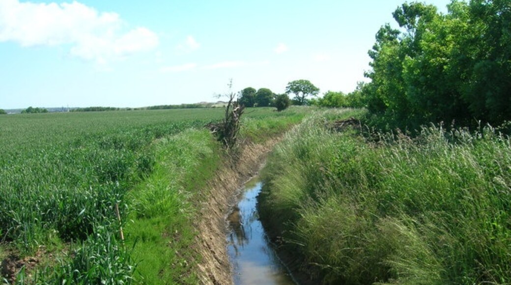 "Seamer"-foto av JThomas (CC BY-SA) / Urklipp från original