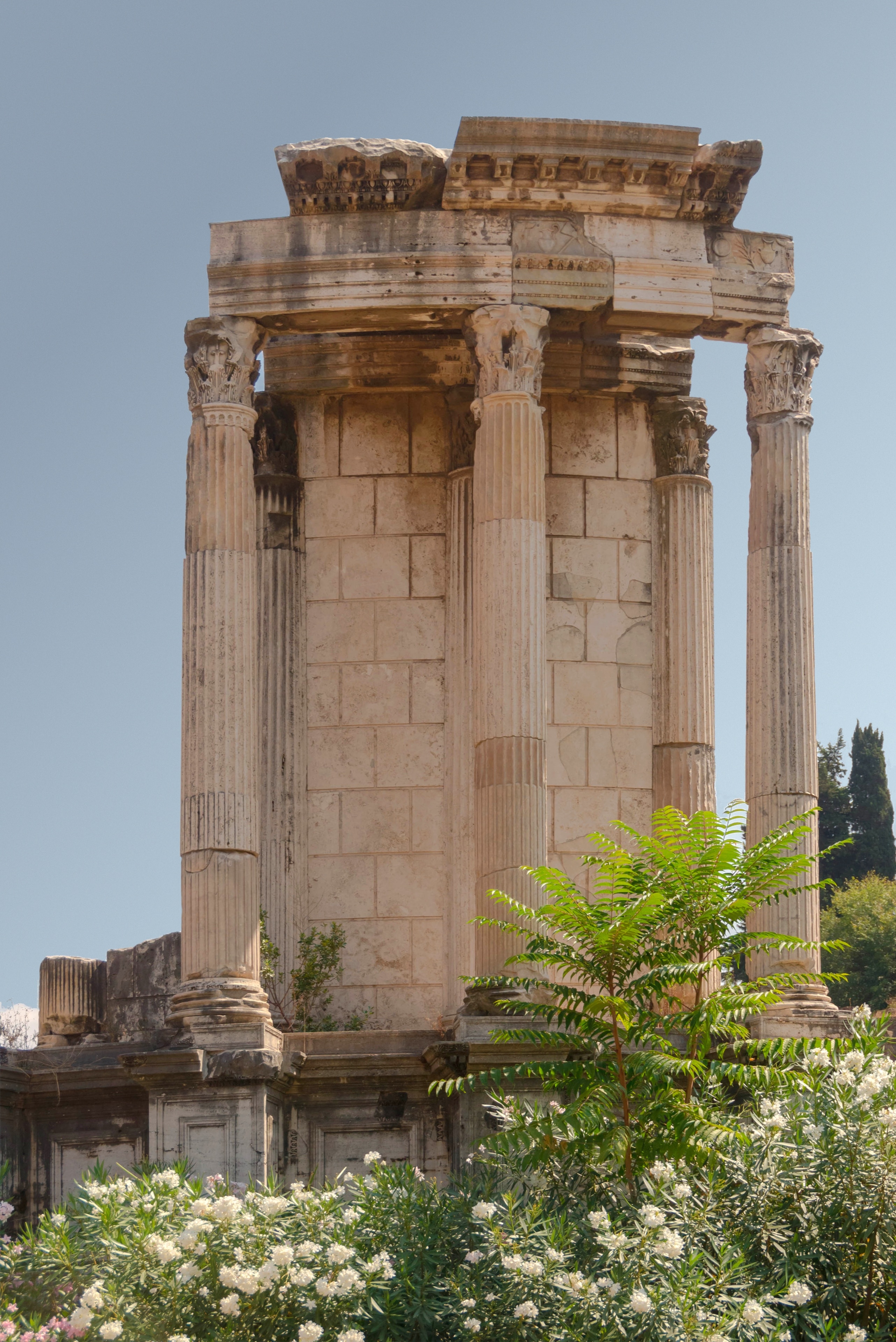 Temple de Vesta, Rome, Latium, Italie
