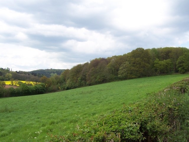 Bigsweir Wood. Approaching the woods along a lane adopted by the Offa's Dyke National Trail