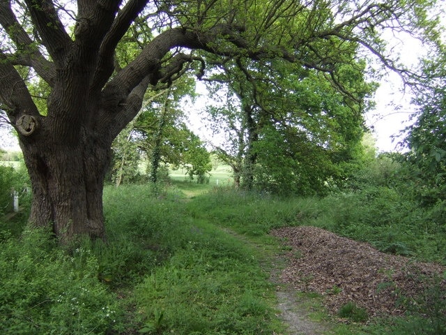 Footpath onto Chestfield Golf Course. Off Molehill Road.