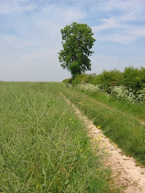 Kuva ”Garton” käyttäjältä Stephen Horncastle (CC BY-SA) / rajattu alkuperäisestä kuvasta