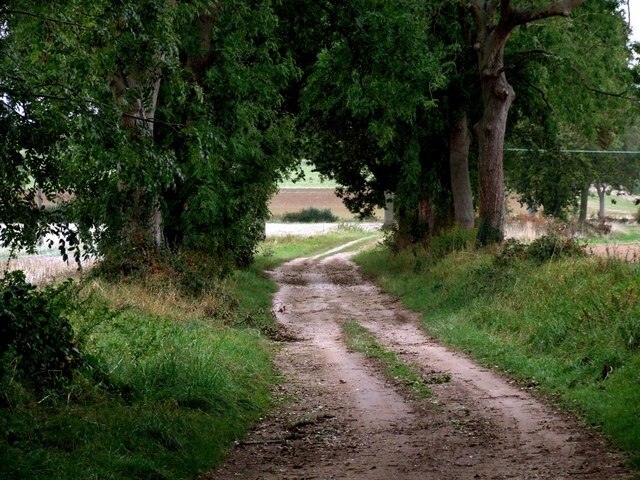 Kuva ”Greetham ja Somersby” käyttäjältä Dave Hitchborne (CC BY-SA) / rajattu alkuperäisestä kuvasta