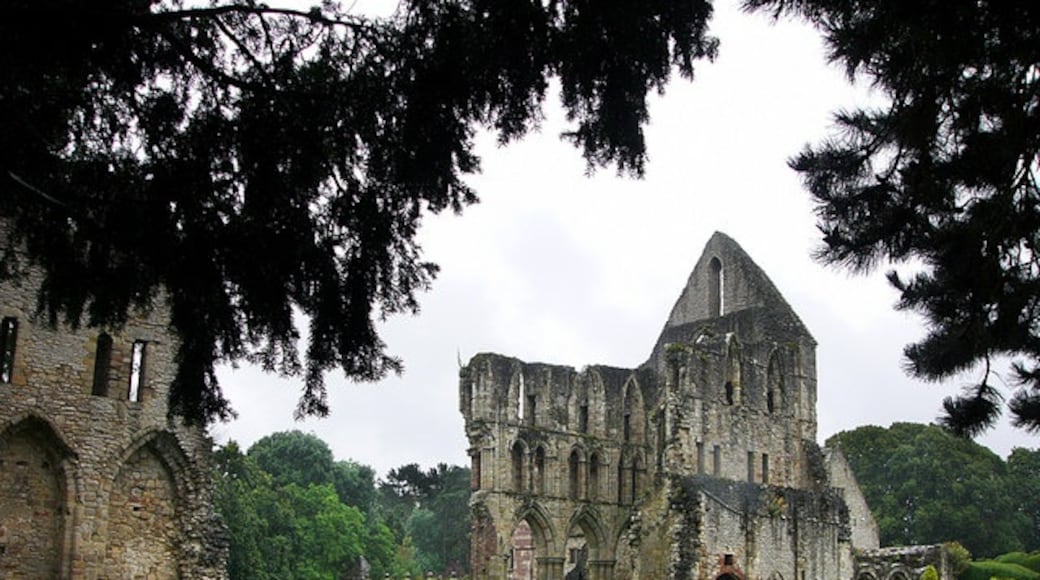Foto „Wenlock Priory“ von Chris Gunns (CC BY-SA)/zugeschnittenes Original