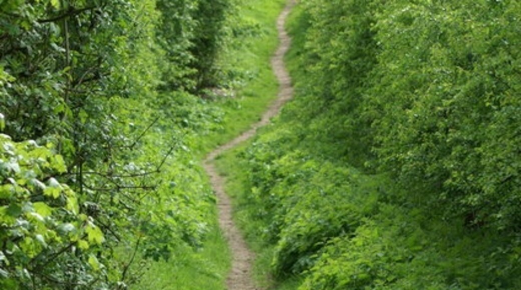 Photo "Compton and Shawford" by Pierre Terre (CC BY-SA) / Cropped from original