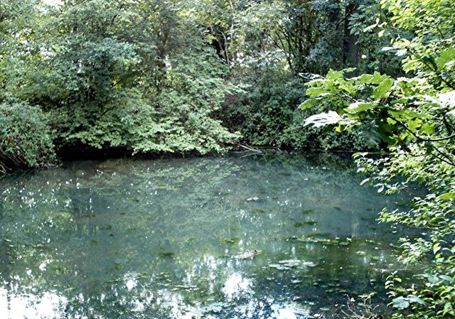 Foto "Great Ashfield" de John Myers (CC BY-SA) / Recortada do original