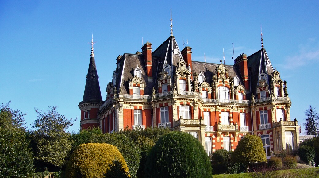 "Dodderhill"-foto av Tanya Dedyukhina (CC BY) / Urklipp från original