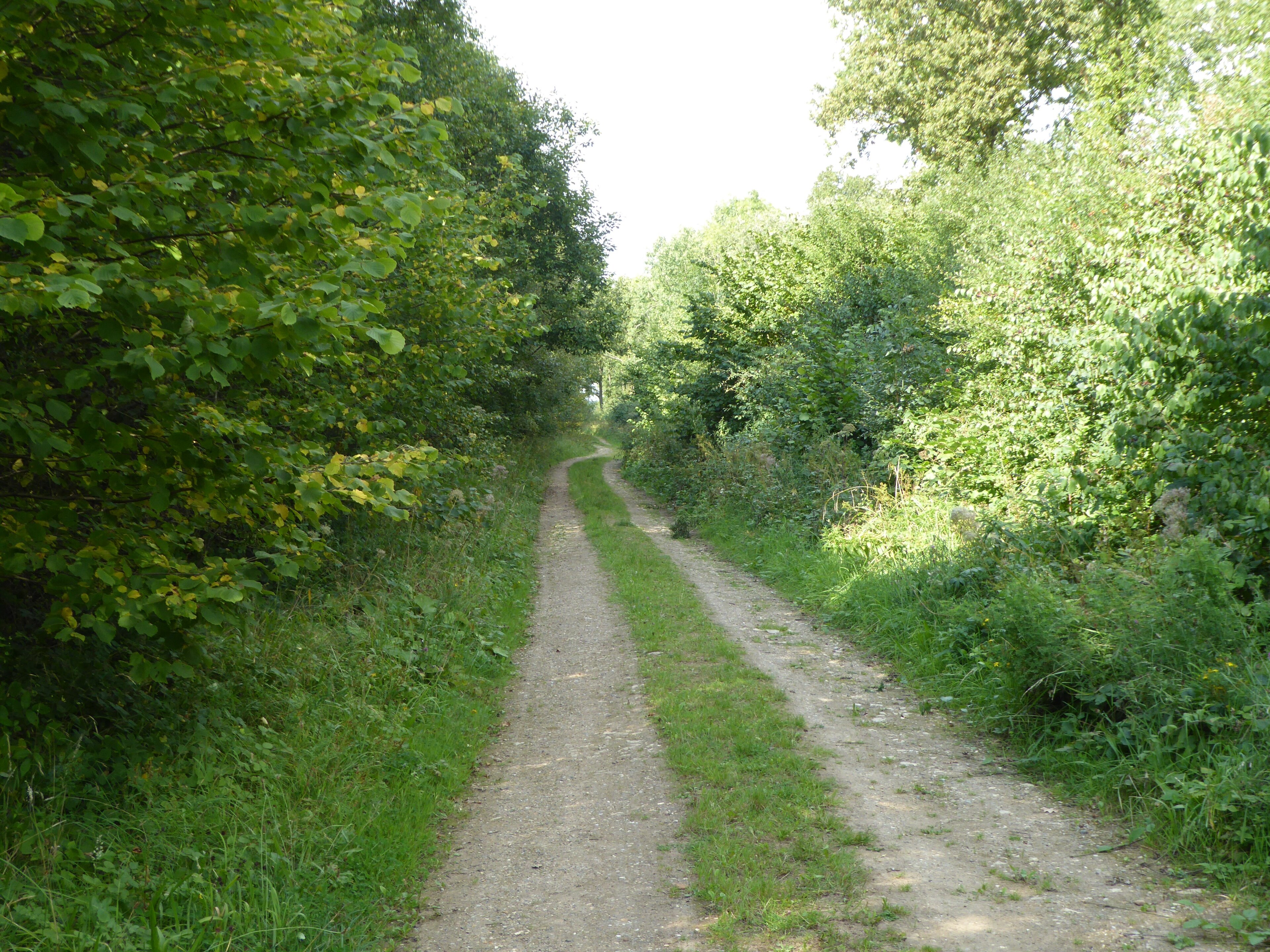 Foto "Pickworth" de Dudley Miles (CC BY-SA) / Recortada do original