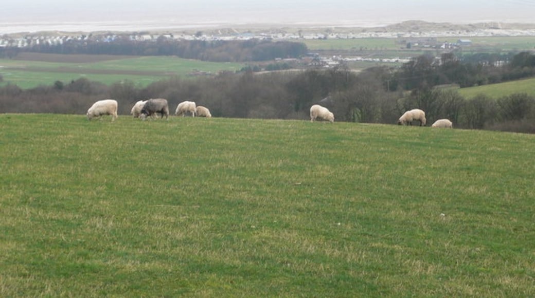 Photo "Gwespyr" by Eirian Evans (CC BY-SA) / Cropped from original