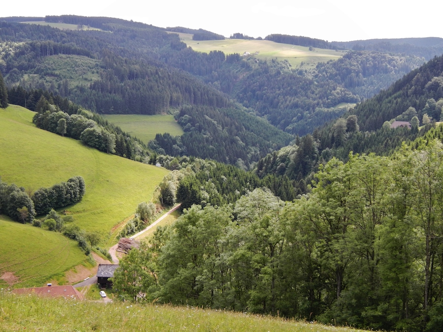 Südschwarzwald