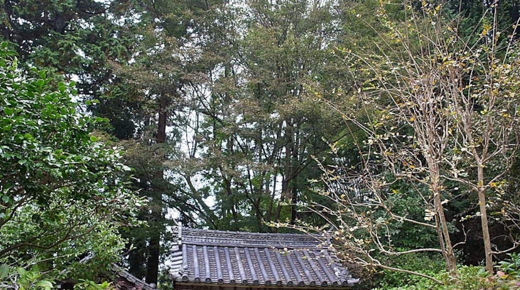 « Kizugawa», photo de z tanuki (CC BY) / rognée de l’originale