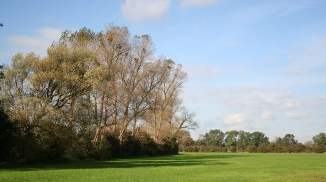 Kuva ”Irby Suolla” käyttäjältä Richard Croft (CC BY-SA) / rajattu alkuperäisestä kuvasta