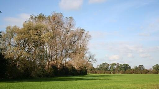 Kuva ”Irby Suolla” käyttäjältä Richard Croft (CC BY-SA) / rajattu alkuperäisestä kuvasta