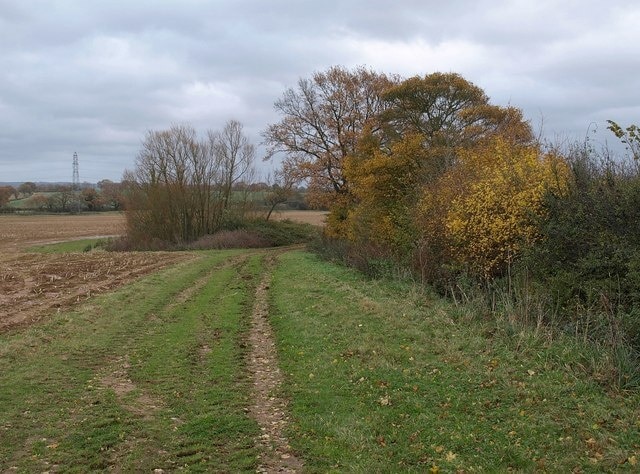 Field path, Oake Green Footpath WG9/26 runs along the edge of a large field which contains a couple of ponds surrounded by trees; the path is about to pass between one of them and the autumnal trees on the right.