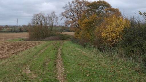 Photo "Hillfarrance" by Derek Harper (CC BY-SA) / Cropped from original