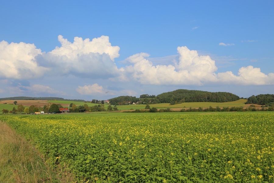 Murner See, view towards Schwarzenfeld (Oberpfälzer Seenland, Bavaria).