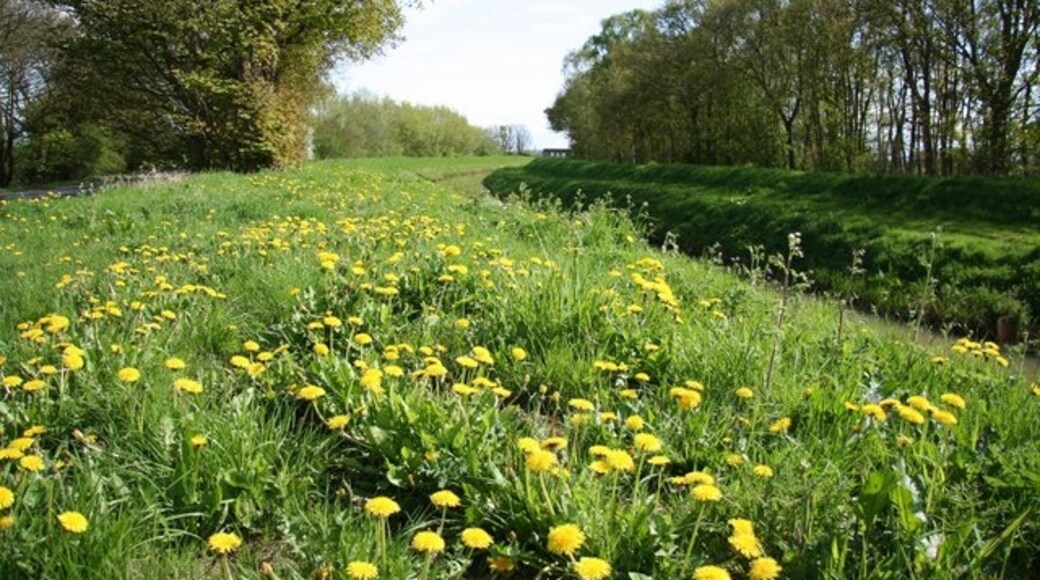 Foto "Saxilby con Ingleby" por Richard Croft (CC BY-SA) / Recortada de la original