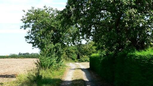 Photo "Fryton" by Roger Gilbertson (CC BY-SA) / Cropped from original