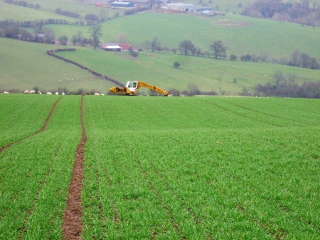 Shropshire Way Looking down the cornfield, across the valley is Upper Woodbatch.