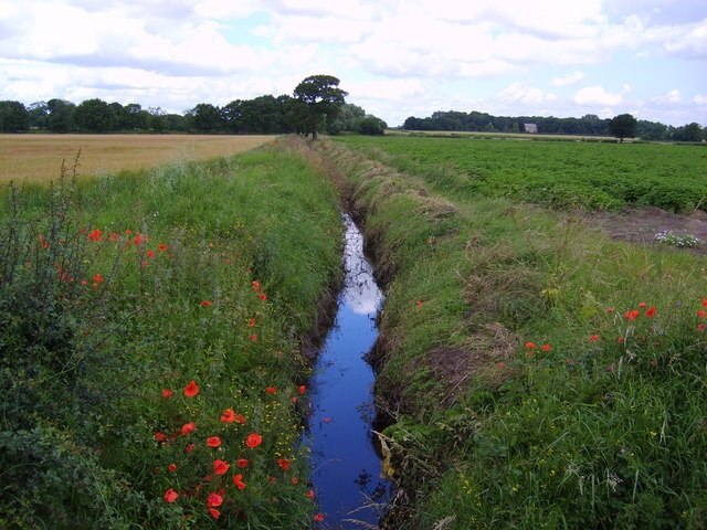 Foto “Holtby” tomada por Sam Kelly (CC BY-SA); recorte de la original
