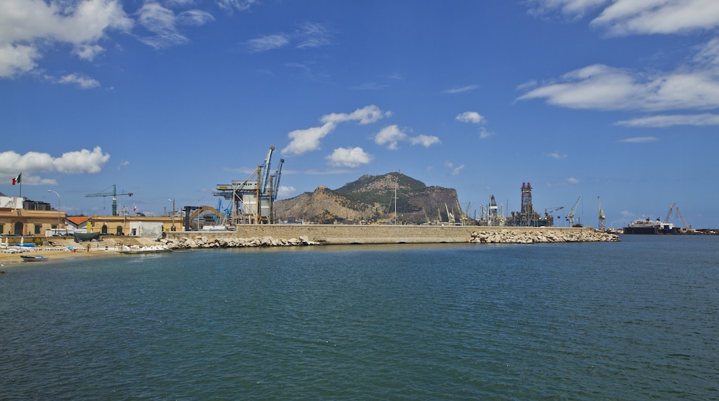"Palermos hamn"-foto av trolvag (CC BY-SA) / Urklipp från original