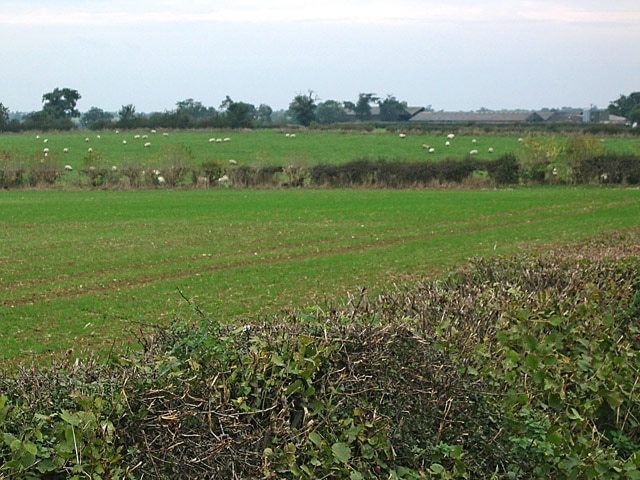 Farmland near Saltby. Looking NE across the fields to the large Dairy Farm