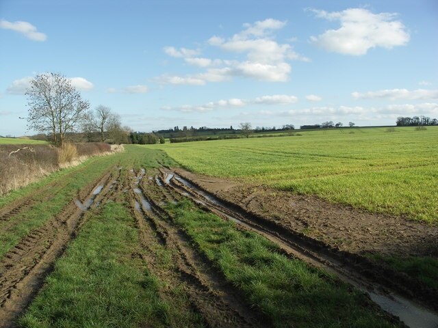 Foto „Haselbech“ von Richard Williams (CC BY-SA)/zugeschnittenes Original