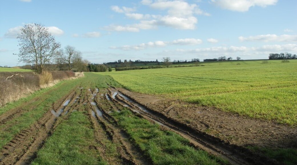 Photo "Haselbech" by Richard Williams (CC BY-SA) / Cropped from original